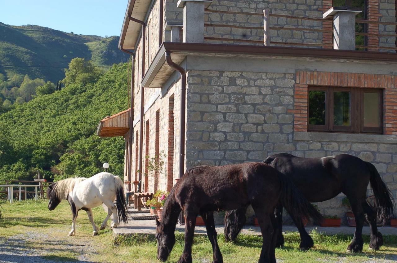 Agriturismo Il Capitano *